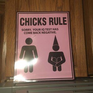 Chicks Rule tin Sign - 350 $15 FIRM 🎉